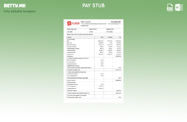 Модерен стил Шаблон за софтверска компанија India Zylker Corporation