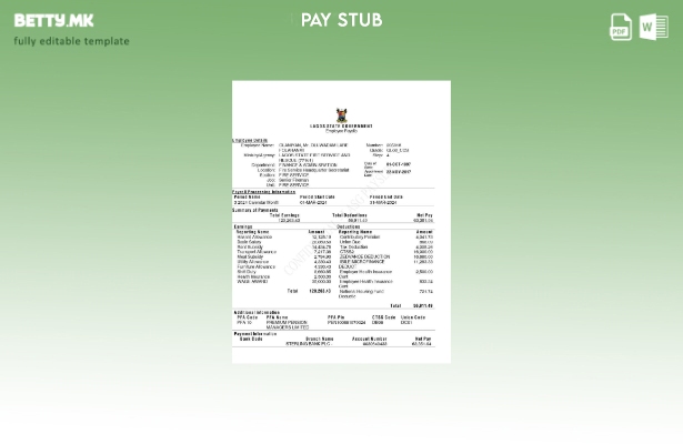 Модерен стил Шаблон за уплатница на вработените во државната влада на Лагос