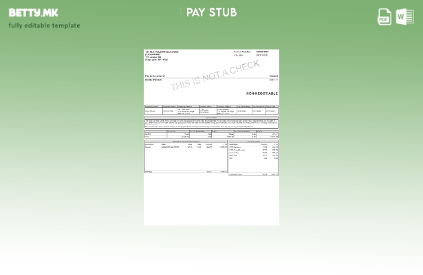 Модерен стил Шаблон Playable Productions Paystub