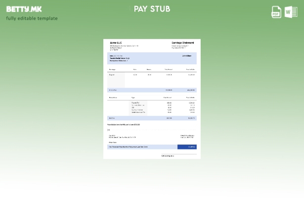 Модерен стил на САД Калифорнија ACME LLC шаблон за изјава за заработка