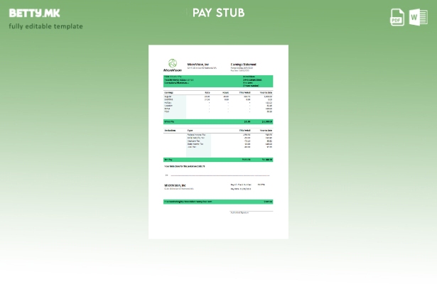 Модерен стил на САД MicroVision информативна компанија paystub шаблон