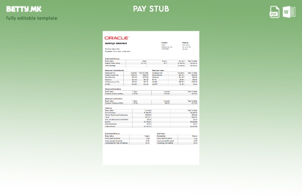 Модерен стил на САД Oracle софтверска компанија paystub шаблон