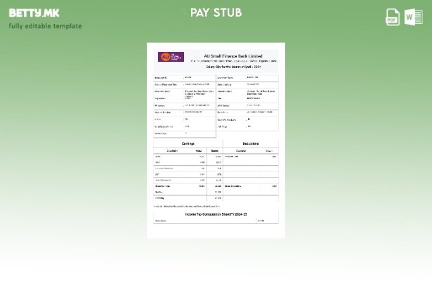 Модерен стил на AU Small Finance Bank шаблон за уплатница за плата