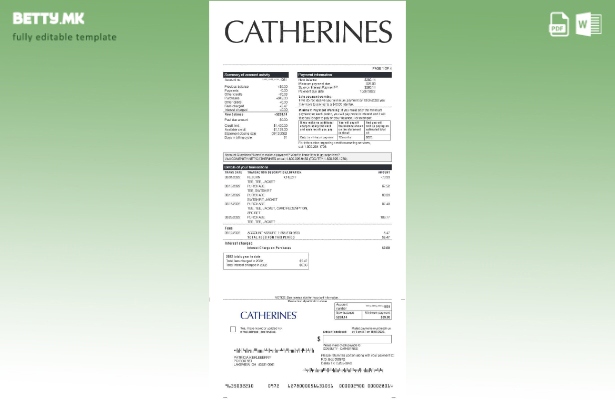 Модерен стил шаблон за извод на заработка Кетринс