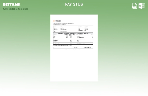 Модерен стил шаблон за изјава за плата на Arcadis Consulting Индија