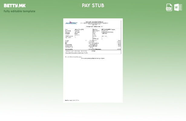 Модерен стил шаблон за инженерска компанија Maveric Systems