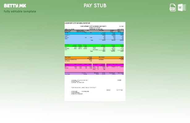 Модерен стил шаблон за наплата на Lockport City School