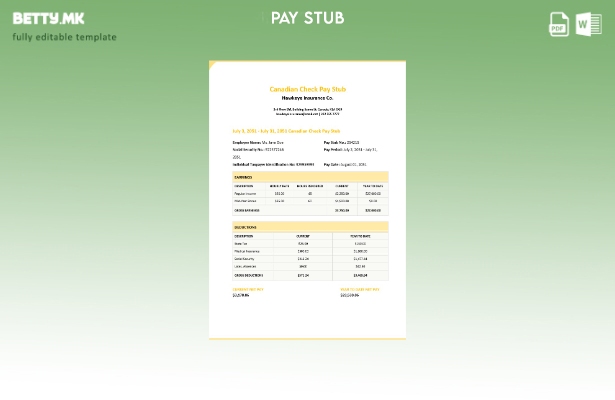 Модерен стил шаблон за плата за канадски чек