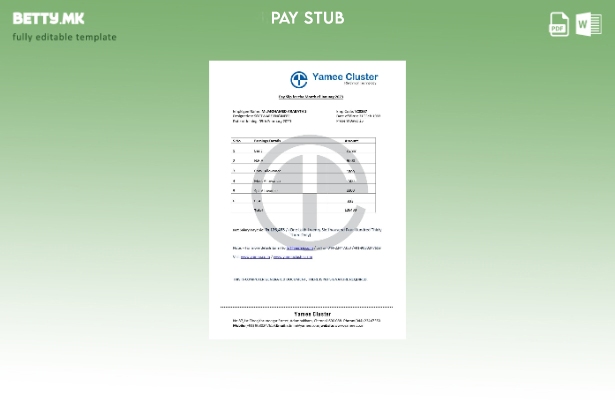 Модерен стил шаблон за софтверска компанија Yamee Cluster