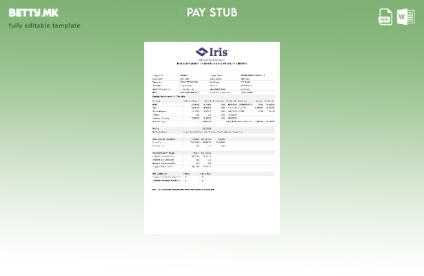Модерен стил шаблон за уплатница на Iris Software Technologies
