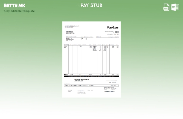 Модерен стил шаблон Paycor paystub