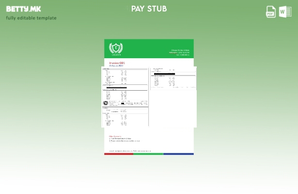 Модерен стил шаблон Paystub округот Ричланд