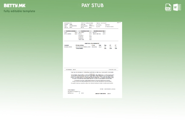 Модерен стил шаблон Peopleready Paystub