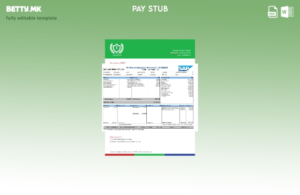 Модерен стил шаблон SAP Labs Payslip