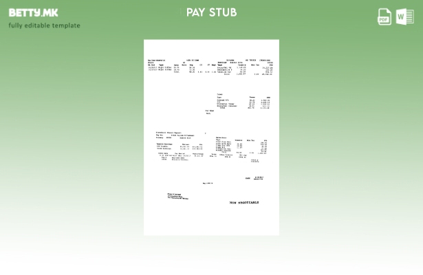 Модерен стил Bee Clean Industrial Ltd. Шаблон PayStub
