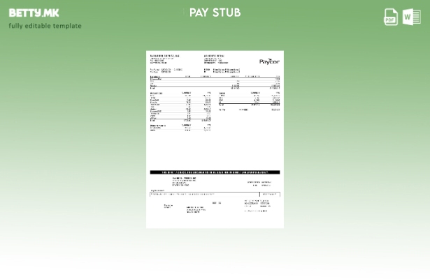 Модерен стил Paycor BWI Северна Америка, INC. Шаблон за изводи за заработка