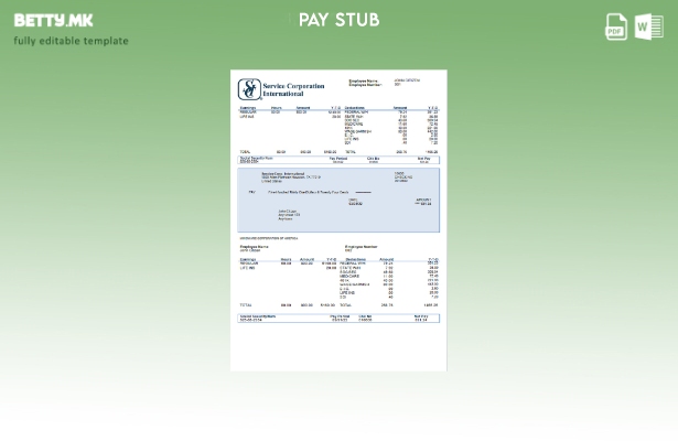 Модерен стил USA Service Corp. Шаблон за плаќање на никулци за никулци за меѓуна