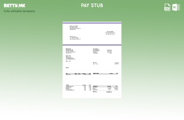 Шаблон Paystub за перење автомобили во модерен стил