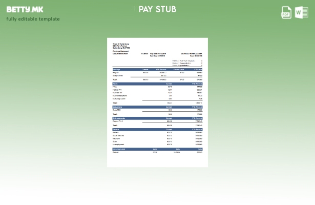 модерен стил Тековен шаблон за извод за сума на заработка YTD