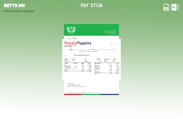 модерен стил Шаблон за изводи за заработка на компанија за ветеринарна медицина