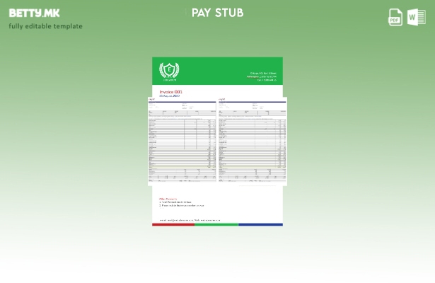 модерен стил Шаблон за никулци за плаќање на компанијата Epayroll Motiva
