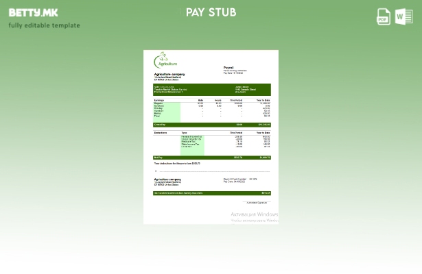 модерен стил Шаблон за платен список за земјоделско претпријатие