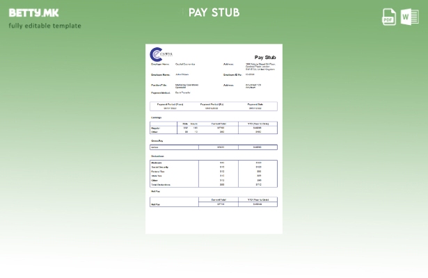модерен стил шаблон за економска компанија USA Capital Economics