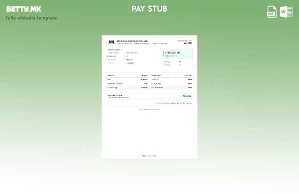модерен стил Navicrow Holidays Pvt. Шаблон за резиме на заработката Ltd