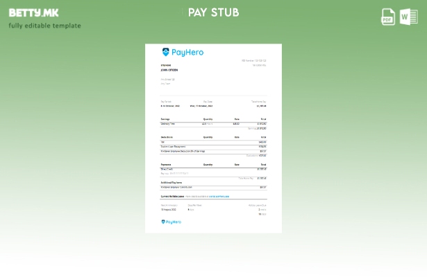 модерен стил USA PayHero финансиска компанија paystub шаблон