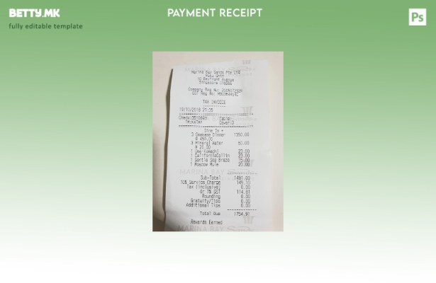 Модерен стил шаблон за проверка на плаќање Marina Bay Sands