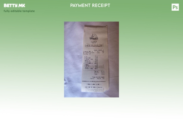 Модерен стилски шаблон за потврда за плаќање на Дизниленд