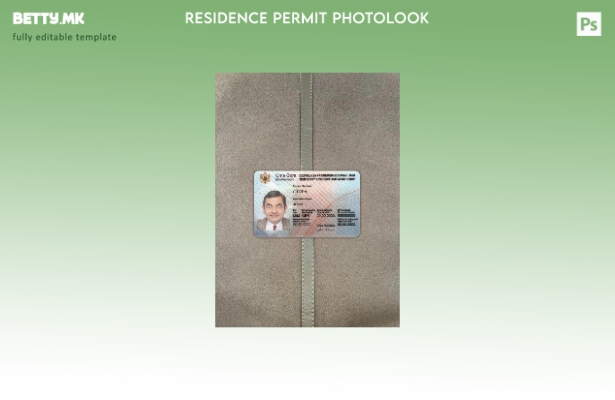 Модерен стил на Црна Гора Фото изглед на дозвола за престој и работа. шаблон