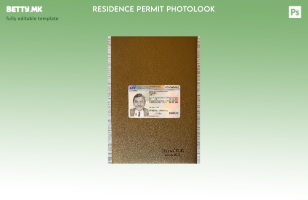 Модерен стил на предниот шаблон за дозвола за престој во Литванија со фото изгле