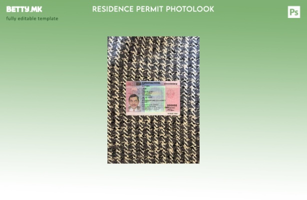 Модерен стил, шаблон за картички за дозвола за престој во Германија photolook ПР