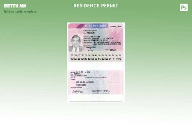 Модерен стил Шаблон за верзија на дозвола за престој во Франција