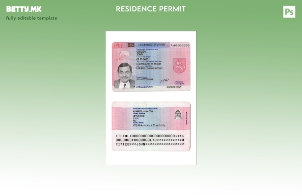 Модерен стил Шаблон за резиденцијална картичка Litva