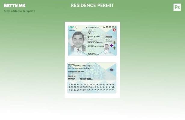 Модерен стил присутен шаблон за дозвола за престој во Швајцарија