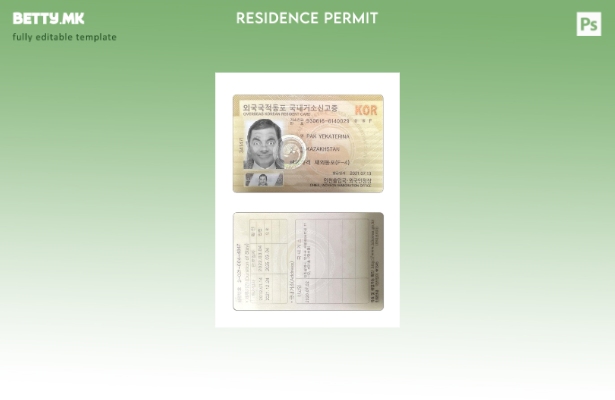 Модерен стил присутен шаблон за карта за престој во Кореја