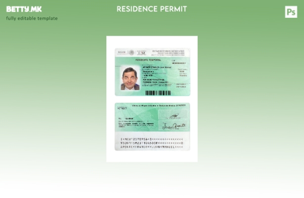 Модерен стил, сегашен шаблон за дозвола за престој во Мексико