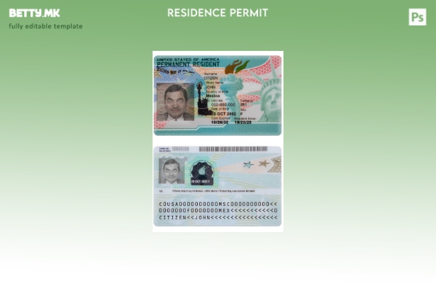 модерен стил САД нова зелена карта, шаблон за постојан жител