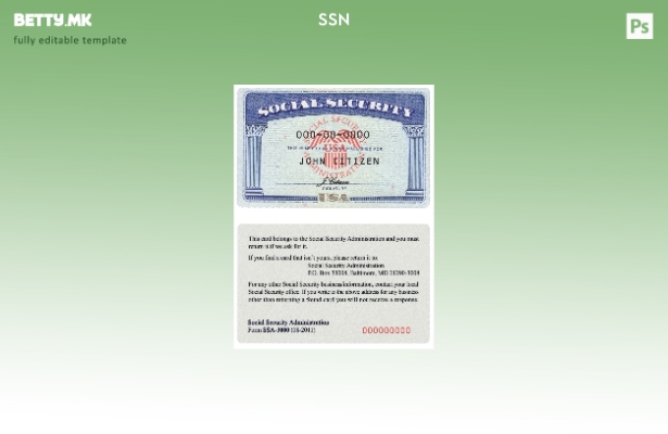 Модерен стил на САД SSN скенирање датотеки PSD шаблон