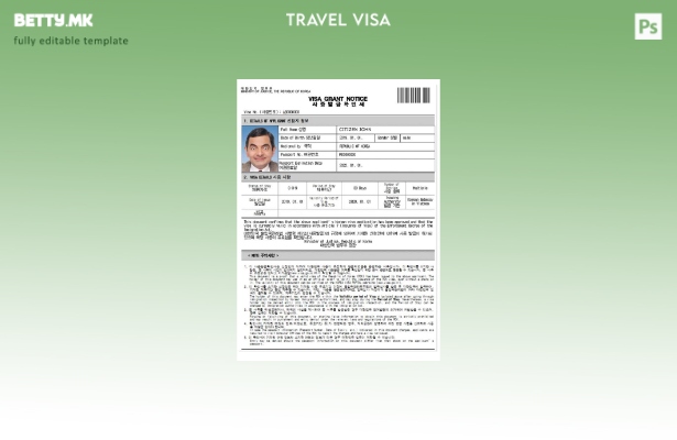 Модерен стил на шаблон за виза за Кореја и