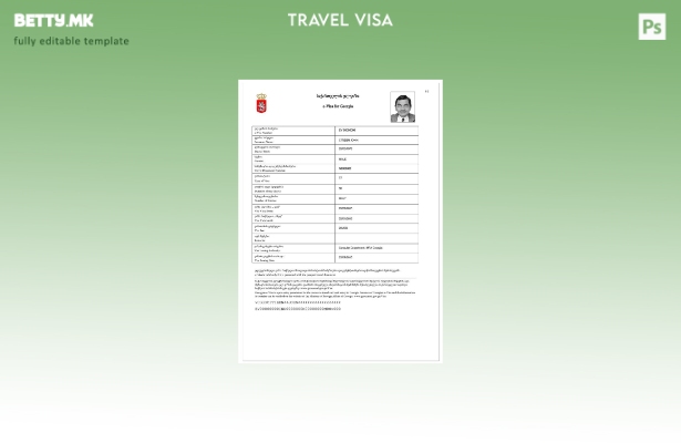 Модерен стил шаблон за виза за Грузија и