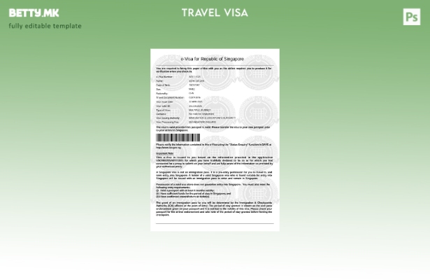 Модерен стил шаблон за виза за Сингапур во шаблон за формати Word и Pdf