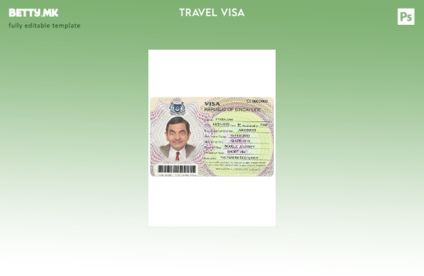 Модерен стил шаблон за виза за Сингапур 1