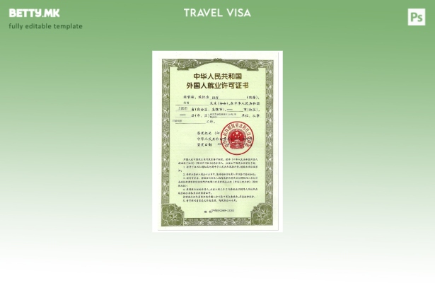 Модерен стил шаблон за дозвола за вработување во Кина (работна виза).
