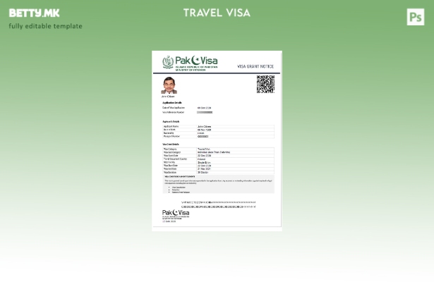 Модерен стил шаблон за пакистанска виза