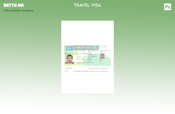 Модерен стилски шаблон за виза за Нигерија