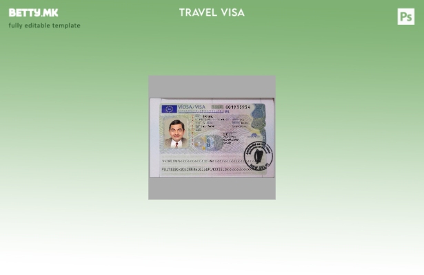 Шаблон за виза за Ирска во модерен стил 1