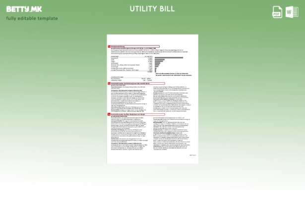 Модерен стил Австрија ЕВН шаблон за комунални сметки за електрична енергија